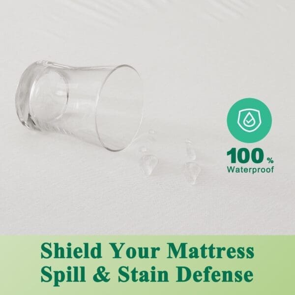 Dynamic Mattress Protector: Where Science Meets Comfort - Image 2